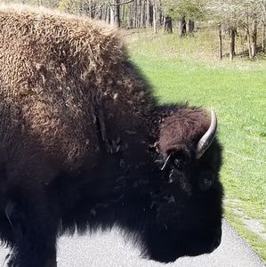 Meet your Posher, Jedidiah